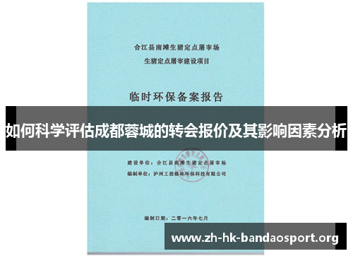 如何科学评估成都蓉城的转会报价及其影响因素分析 如何科学评估成都蓉城的转会报价及其影响因素分析